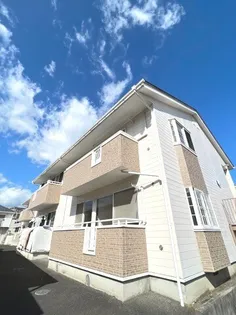 グレース鹿野の画像