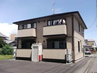 アムールCの画像