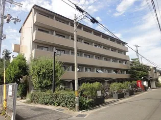 ヤングヴィレッジ嵯峨【4階】の外観