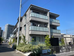 グラヴィタスの画像