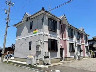 シルク槙の画像