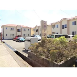 コモドシャレーの画像