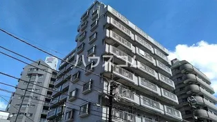 デイム橋本の画像
