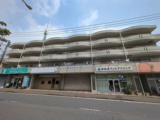 フォレストビルA館の画像