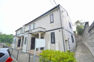 シャンドフルールIIの画像