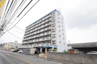 サザンブライト萩原の画像