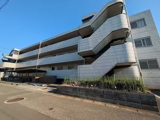 SENOXーIの画像