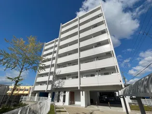 SAWARABI ヨツバの画像