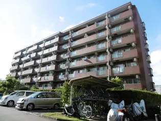 ノーサイドの画像