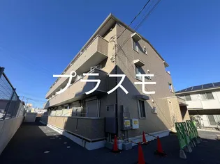 グレイスの画像