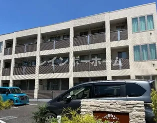 スターフラワーの画像