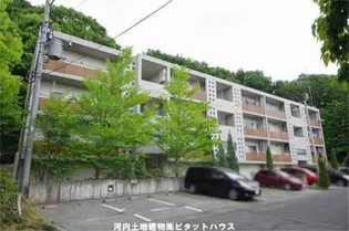 ハーネス戸祭の画像