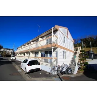 やまゆりの画像