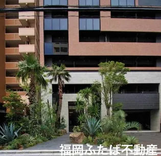 グランフォーレ箱崎プレミアの画像