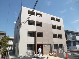 サニーフォルネの画像