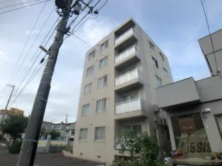 エレクトリシティズイの画像