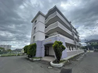 バーシティハウス泉B【4階】の外観