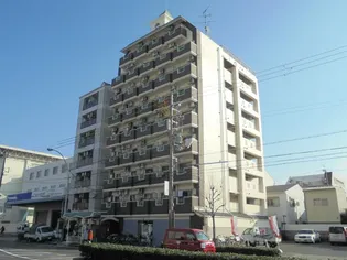 ルネッサンスエリエールの画像