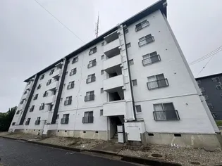 ドミールサニー緑町2号棟【5階】の外観