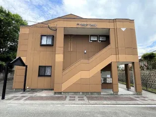 レインボーサンリッチの画像