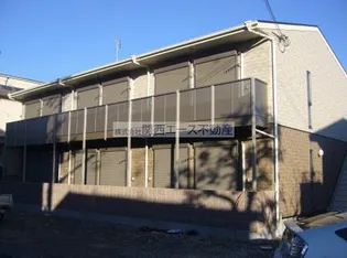 アムール八籏の画像