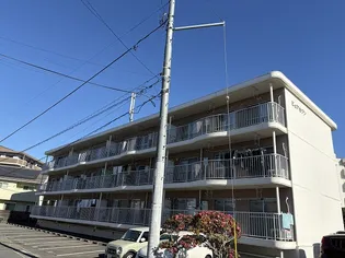 ピュアセゾンの画像