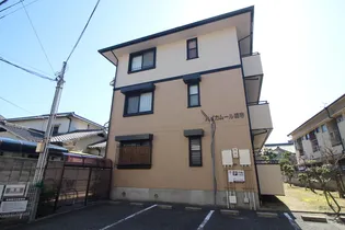 ハイカムール梅寿の画像