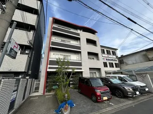 SPRUCE TONE MFの画像