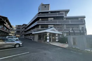 シャロムの画像