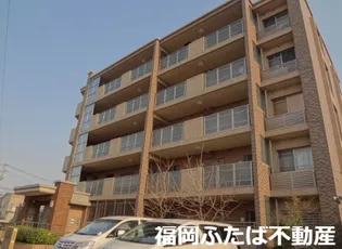 CIELIZの画像