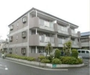 プラムエヌティーの画像