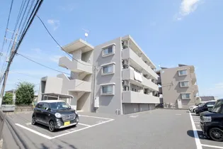 パルディス IIの画像