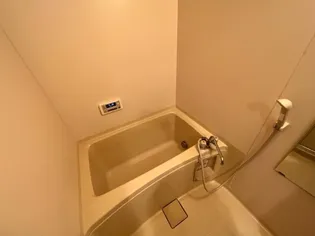 セレクト大岩【3階】の風呂