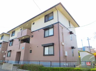 ハイカムール八乙女STIの画像