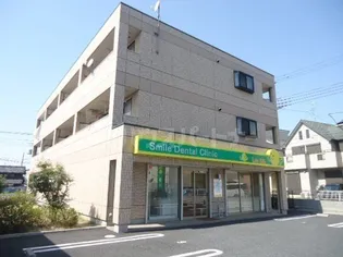 埼玉県さいたま市見沼区丸ヶ崎町【マンション】の外観