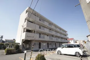 シェレーヌの画像