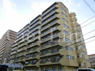 ツイン コートの画像