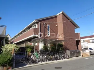 ドムス Yの画像