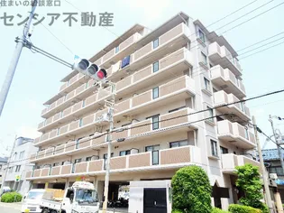 UスギモトⅡの画像
