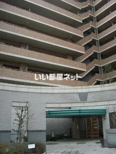 ルネ アインの画像