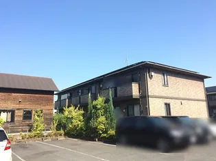 ウイルネストの画像