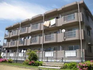 アプリコットハウスI【3階】の外観