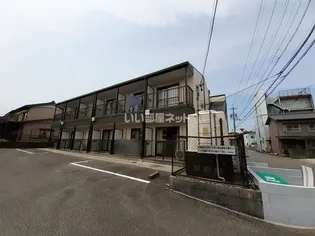 シャイリスの画像