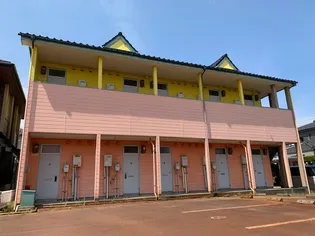 サンフラワー弥生の画像