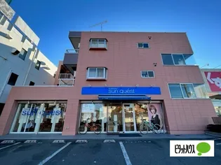 ポールスターの画像