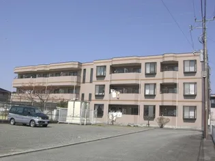 マンションミレニアム【3階】の外観