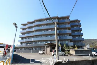 ライベクスト35の画像