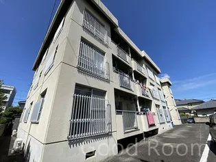 徳島県徳島市昭和町7【マンション】の外観