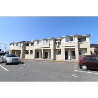 ピオニーの画像