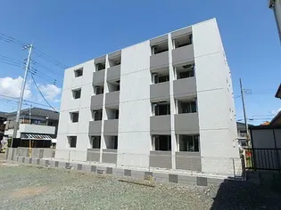 ボラ カーサの画像